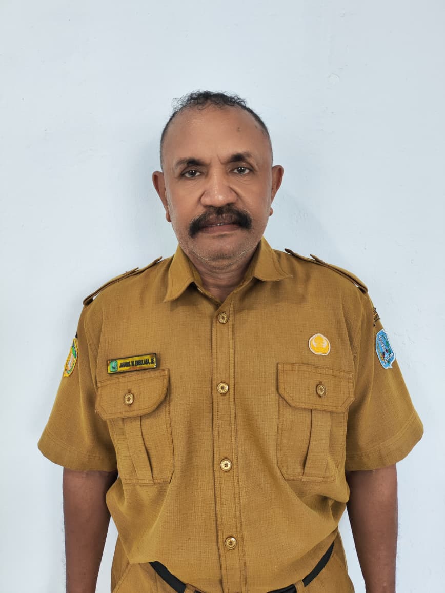 JOHANES W. EMBULABA, SE